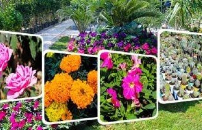 أخبار مصر.. 3 وزراء يفتتحون معرض زهور الربيع بالمتحف الزراعى