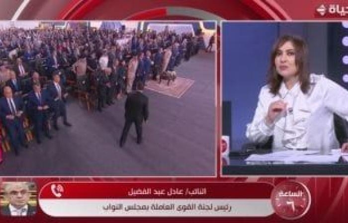 القوى العاملة بالبرلمان: فلسفة قانون العمل الجديد المحافظة على حقوق العمال