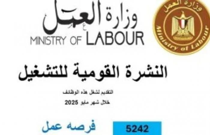 الدولة تواصل مواجهة البطالة.. وزارة العمل: 5242 فرصة عمل جديدة فى 50 شركة خاصة بـ8 محافظات