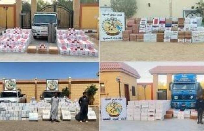نشاط مكثف لقوات حرس الحدود على كافة الاتجاهات الاستراتيجية للدولة