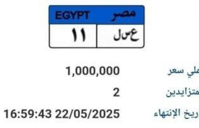 سعرها وصل مليون جنيه.. طرح لوحة سيارة مميزة رقمها "ع سـ ل 11" بالمزاد