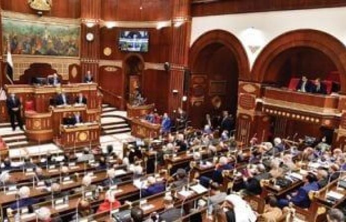 توفير أكثر من 30 سلعة أساسية خلال 2024 على بطاقات التموين بـ36 مليار جنيه