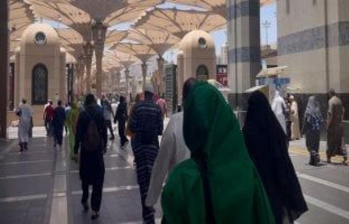 رحلة بلا عناء ومناسك بلا زحام.. مصر تمهد لحجاجها درب الطاعة بوسائل الراحة