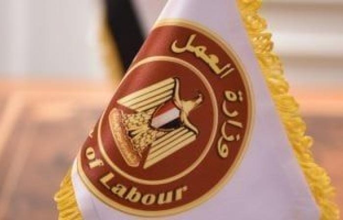 وزارة العمل تعلن عن فرص عمل بمرتبات تصل لـ15 ألف جنيه شهريا