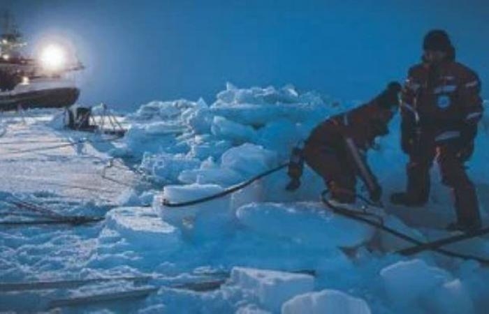 بينهم مصريون.. 3500 طالب أجنبى يتنافسون للمشاركة فى بعثة للقطب الشمالى