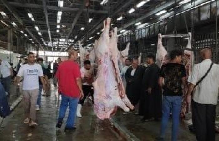 مجزر البساتين يفتح 5 صالات لاستقبال أضاحى المواطنين مجانا بالقاهرة