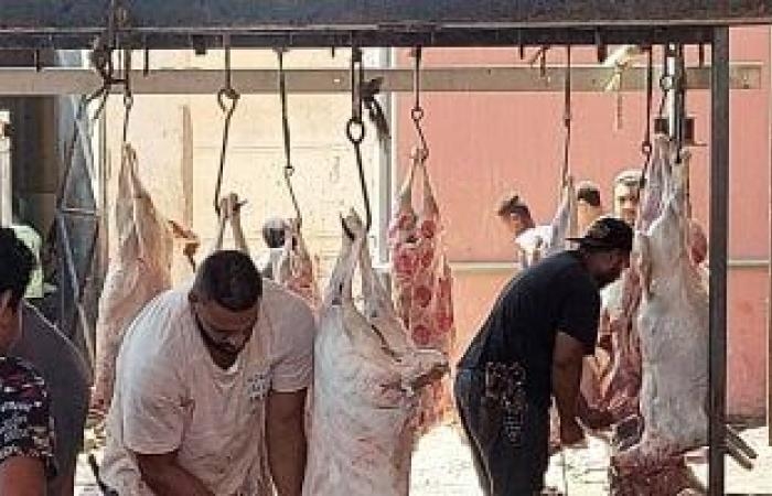 غرامة ذبح الأضاحى بالشوارع 10 آلاف جنيه.. ومحافظ القاهرة: خدمات المجازر مجانا