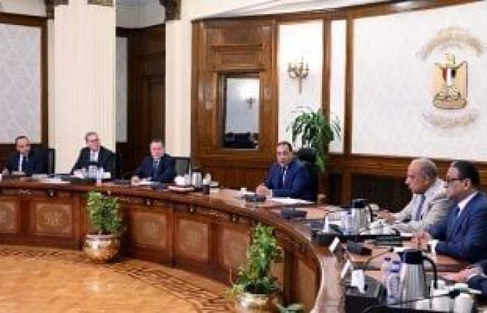توجيه هام من رئيس الوزراء لوزيري البترول والكهرباء بعد هجوم إسرائيل على إيران