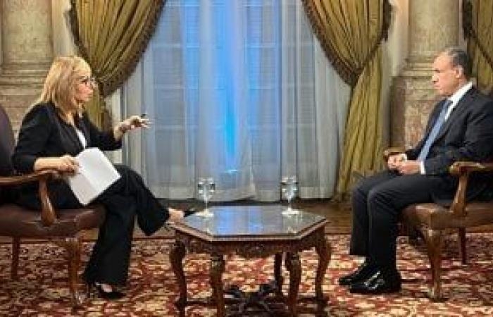 وزير الخارجية: مصر ترى أنه لا أمن ولا استقرار بدون حل القضية الفلسطينية