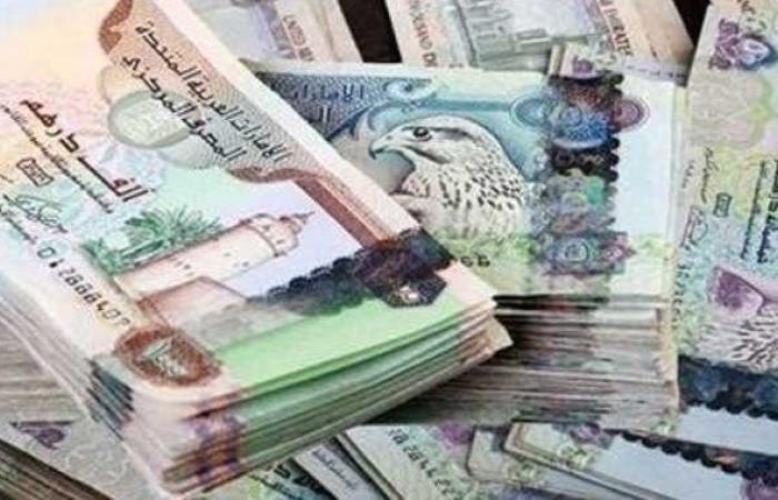سعر الدرهم الإماراتي مقابل الجنيه المصري اليوم السبت