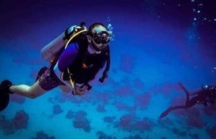 الغوص فى الغردقة.. شعاب مرجانية وغابة بحرية على عمق 22 مترًا (صور)