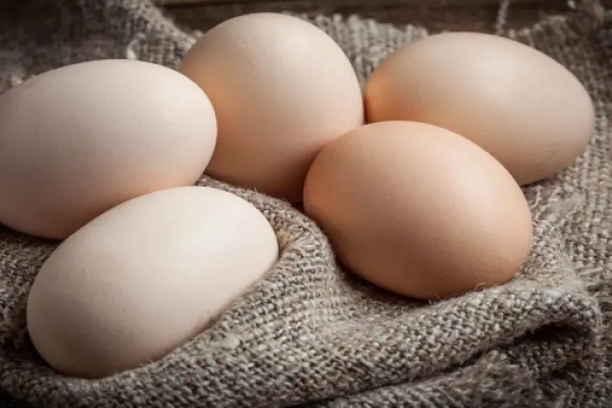 محكمة سويدية تدين أما كسرت بيضة على جبين ابنتها