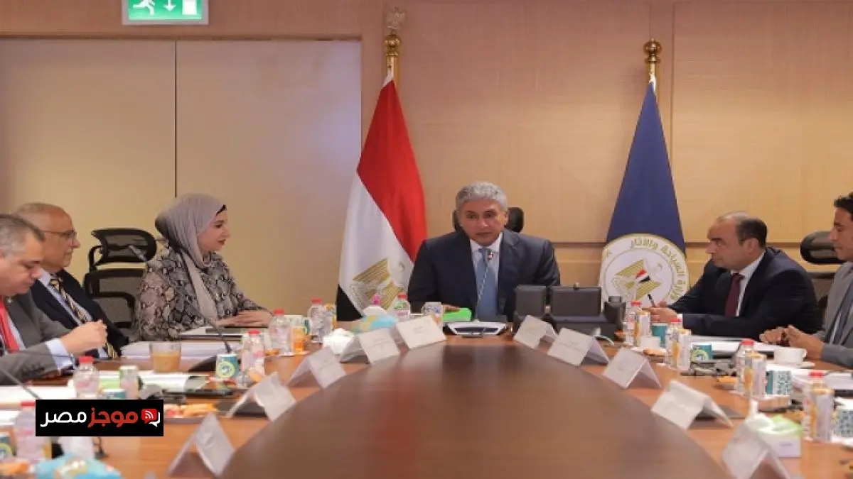 الأعلى للآثار: مد معرض 'رمسيس وذهب الفراعنة' بطوكيو إلى يناير 2026