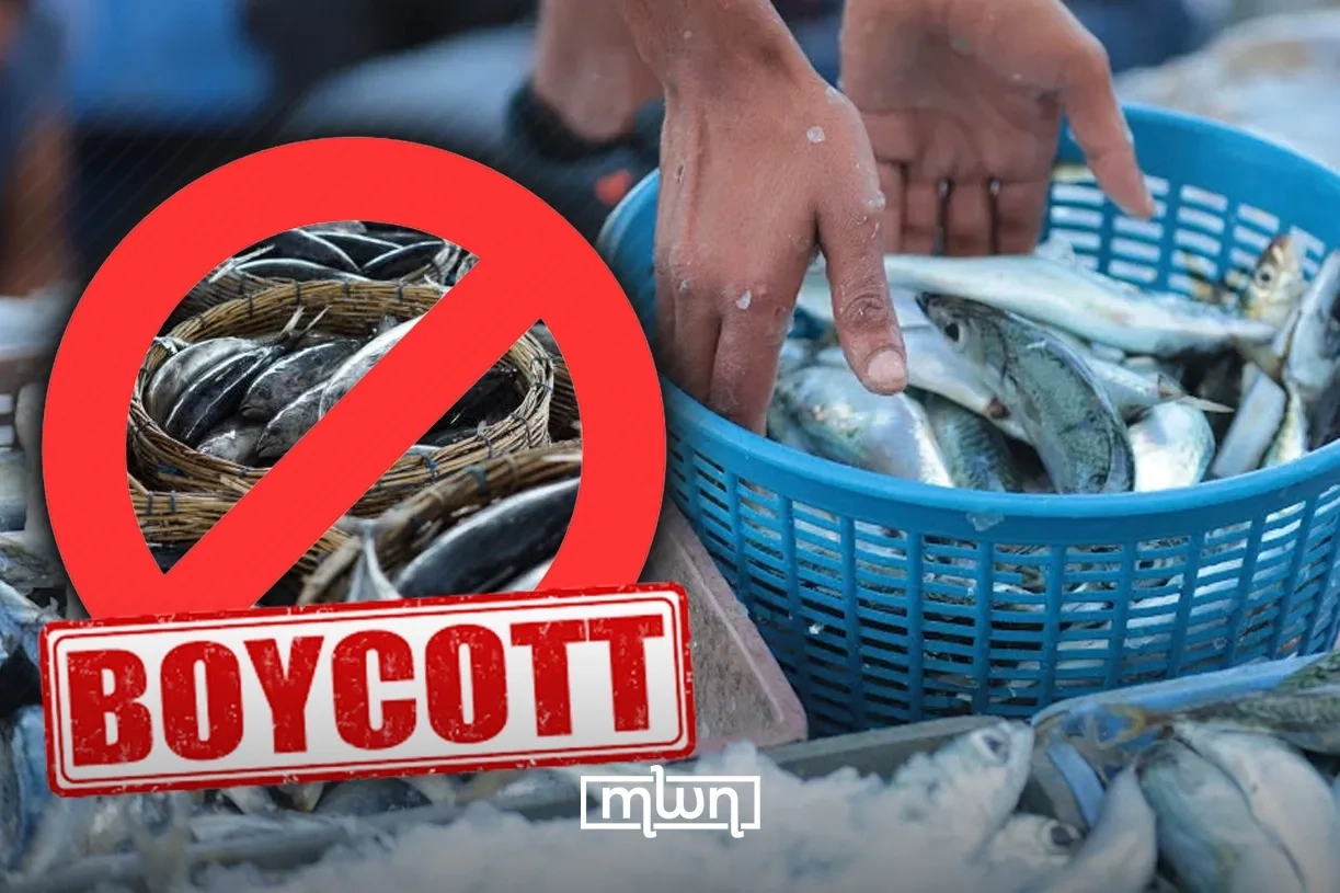 Social Media Activists Call for Sardines' Boycott over Prices Controversy