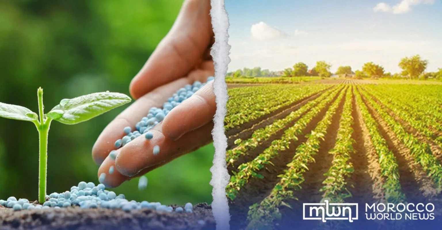 African Forum on Agricultural Investment Gathers Momentum in Benguerir