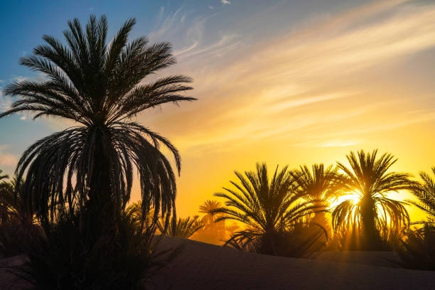 Record Heat, Thunderstorms Expected in Morocco Until Wednesday