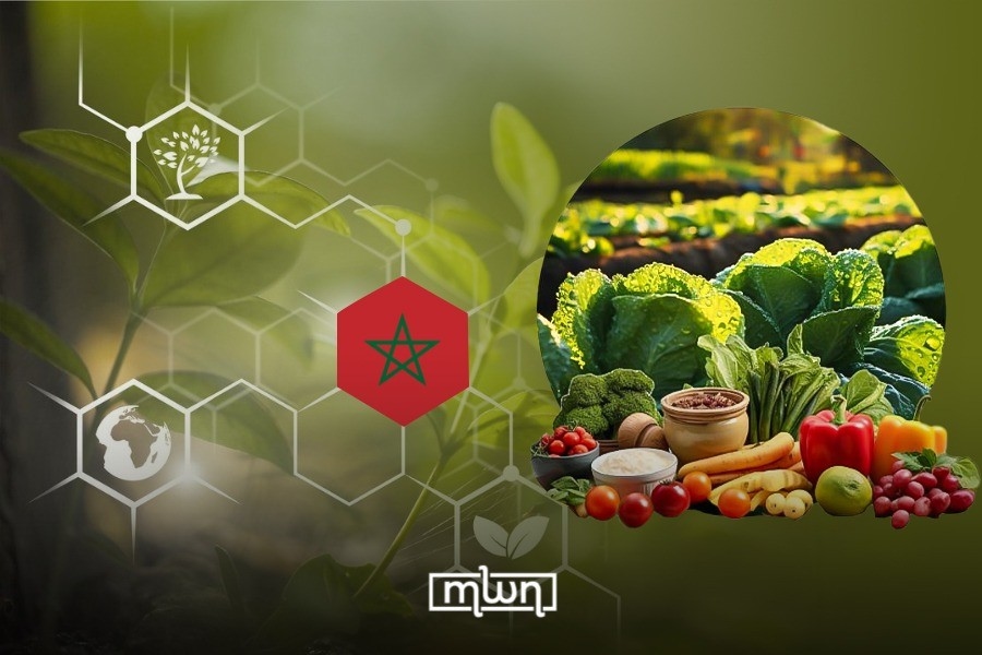 Morocco Hosts First Agro Export Day in November to Boost Food Industry Exports