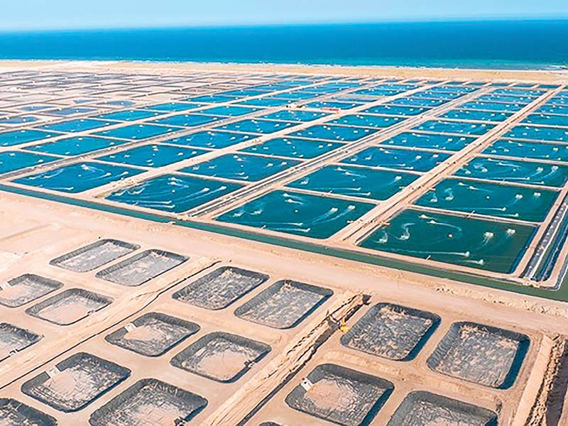 FAO's portfolio in Oman grows 83% to $4.27mn