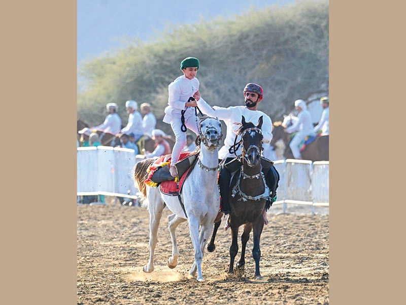 Oman seeks Unesco recognition for Arabian horse breeding