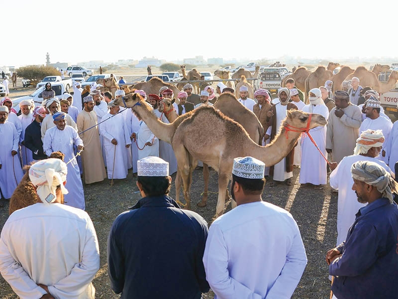 North Sharqiyah winter activities draw over 450,000 visitors