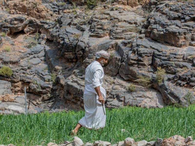 Model agritourism project starts in Balad Sayt