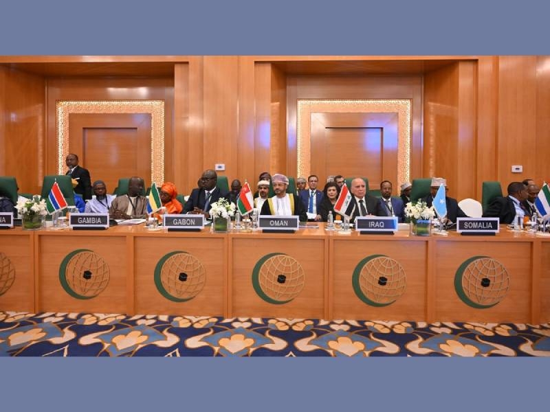 OIC endorses Egypt's alternative to Trump's Gaza takeover plan