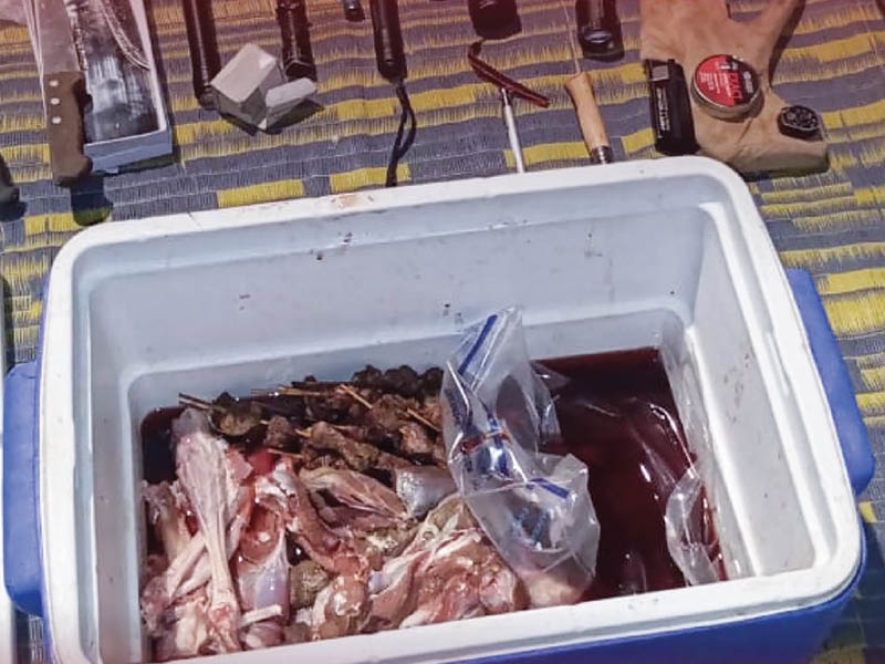 Four poachers arrested in Dhofar for hunting wildlife