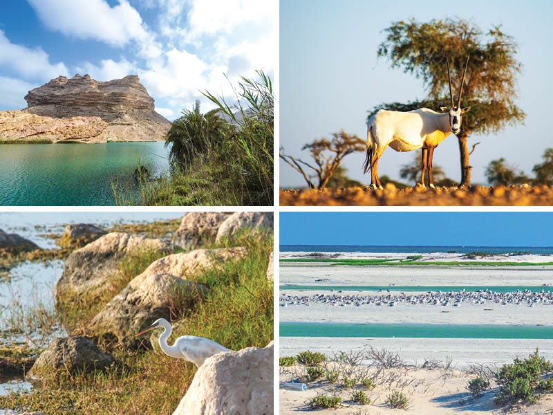 RO44mn deals to boost eco-tourism in Oman's nature reserves