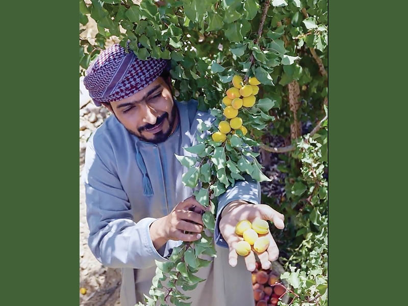Farmer turns Jabal Shams village into fruit haven with 32 varieties