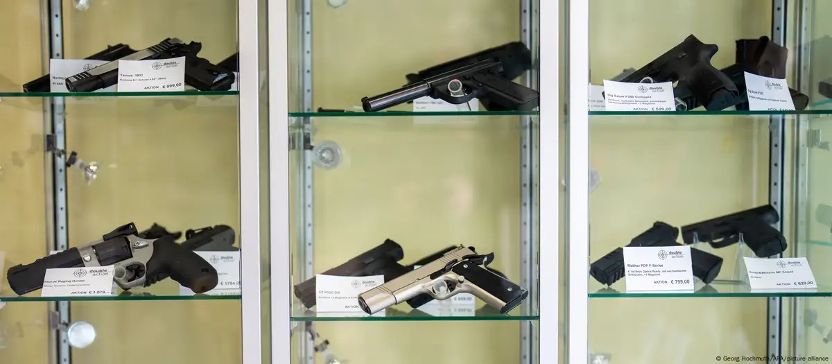 Austria plans gun control measures after school shooting