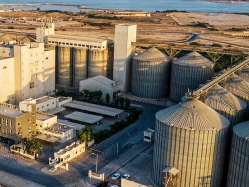 Salalah Mills signs deal to import 110,000t of Russian wheat