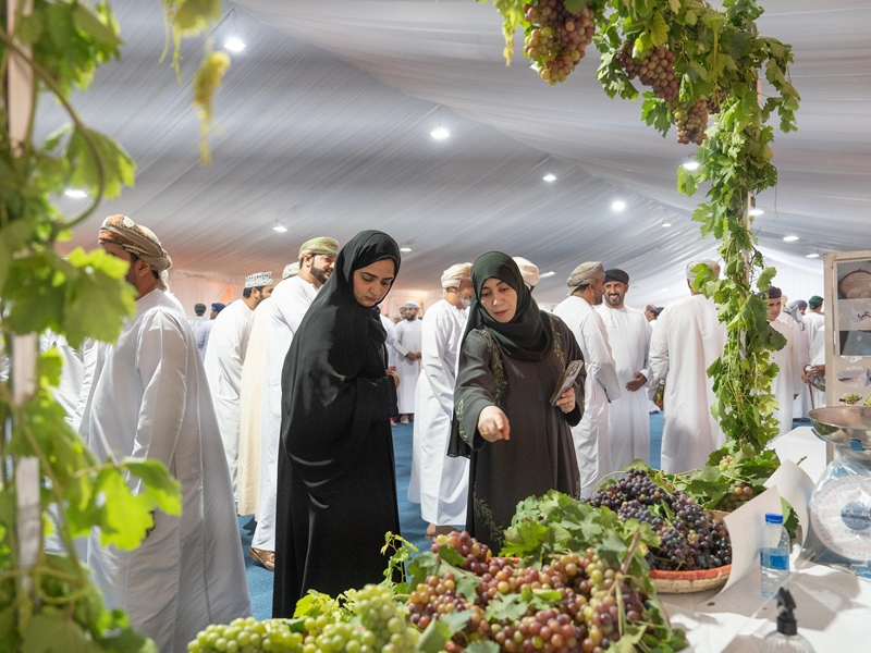 Smart farming, model farms to raise Oman's grape output