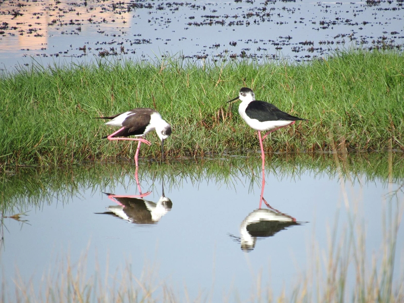New projects expand ecotourism in Oman's nature reserves