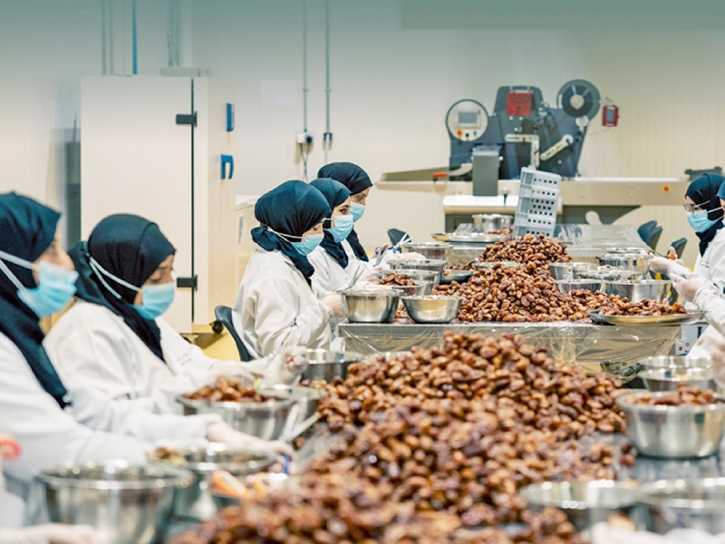 Dhofar begins work on integrated agriculture hub in Najd