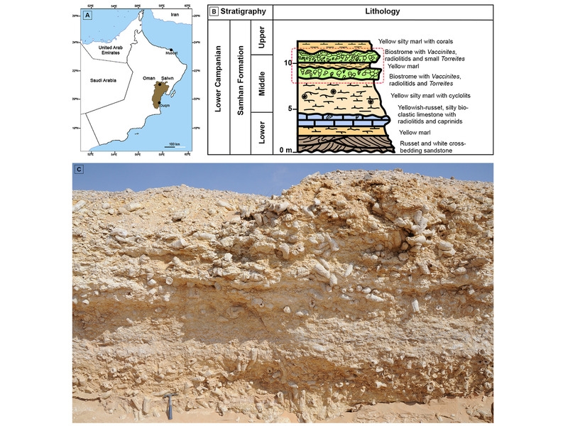Omani scientist joins global study on ancient marine life
