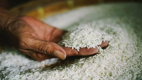 تراجع أسعار الأرز عالمياً إلى أدنى مستوى منذ نحو 8 سنوات
