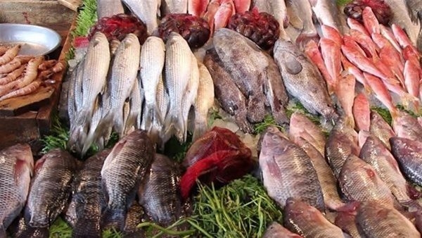 أسعار السمك اليوم الخميس 7 أغسطس 2025 في الأسواق