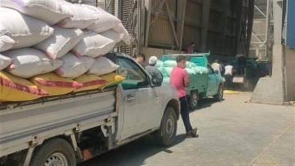 محافظ أسوان: توريد 8869 طنا من القمح بالصوامع والشون لموسم الحصاد الحالي