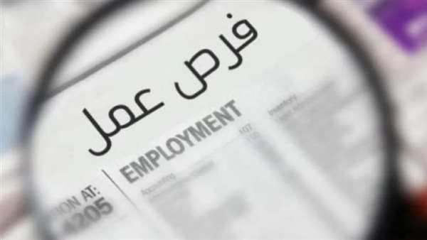 «1500 جنيه في الساعة».. الحكومة تكشف حقيقة وظائف «العمل من المنزل»