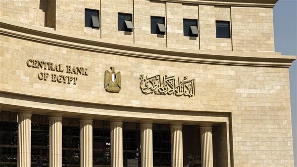 البنك المركزي المصري يستعرض استراتيجيته في الأمن السيبراني أمام وفد تنزاني
