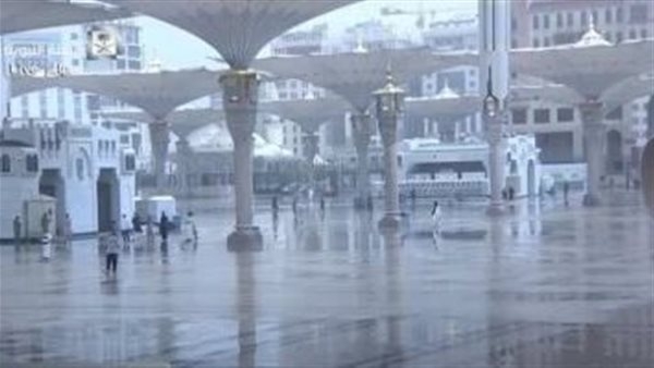 "اللهم ارزقنا صلاة فيه".. آداب زيارة الحجاج للمسجد النبوي والجلوس في الروضة الشريفة