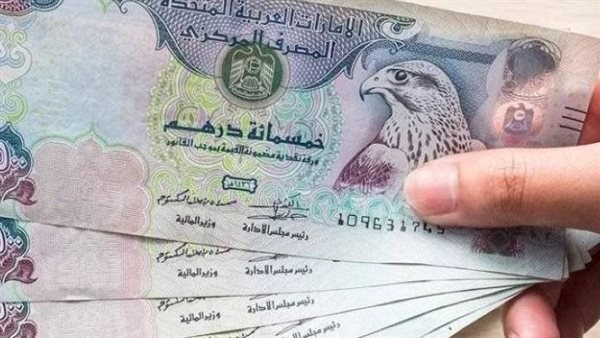 سعر الدرهم الإماراتي مقابل الجنيه اليوم السبت 7 يونيو 2025