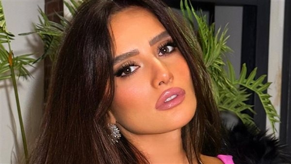 25 مايو.. نظر دعوى الفنانة زينة لزيادة نفقة ومصروفات أبنائها من أحمد عز