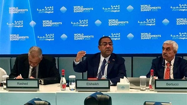 رئيس التنظيم والإدارة يشارك في اجتماعات منتدى الإدارة العامة والجمعية الإفريقية للإدارة