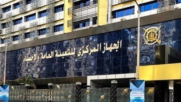الإحصاء: 13.8 مليار دولارقيمة تحويلات المصريين العاملين بالدول العربية خلال 2023/2024