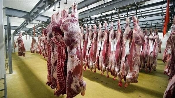 مدير الطب البيطري بالوادي الجديد: استمرار عمل المجازر الحكومية لاستقبال الأضاحي وذبحها بالمجان