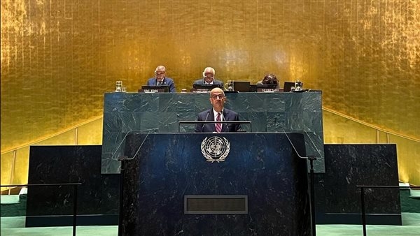 مندوب مصر الدائم لدى الأمم المتحدة يلقي بيانًا نيابةً عن شيخ الأزهر خلال الاحتفال باليوم العالمي لمكافحة الإسلاموفوبيا