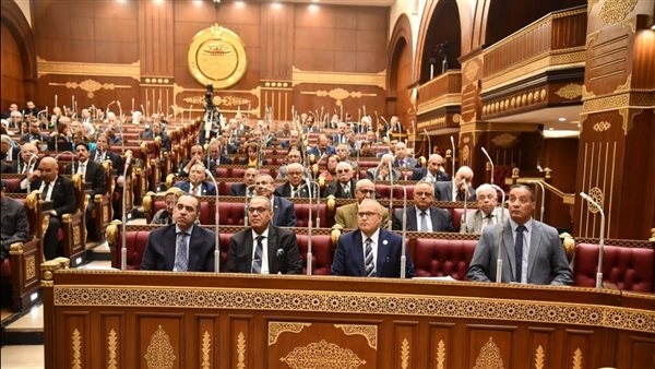 مجلس الشيوخ يحيل أول دراسة برلمانية عن الأمن السيبرانى للحكومة لتنفيذ توصياتها