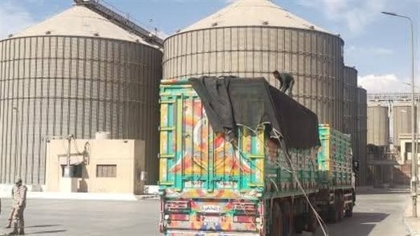 توريد 256 ألف طن قمح بالصوامع في بني سويف حتى الآن
