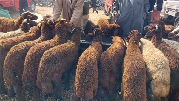 التاريخ الهجري اليوم.. كم تبقى على عيد الأضحى المبارك؟